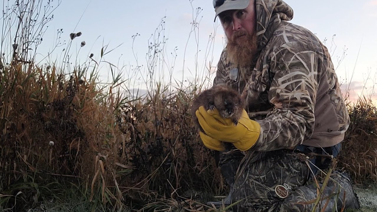 First Trap Check of the season!