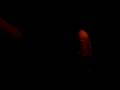 The Ghost 1