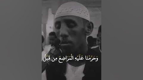 القارئ حسام عبدالباقي || وأصبح فؤاد أم موسي فارغا