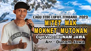 TEBE TERBARU 2023 || MITET MAK MOKNET MUTONAN || Cipt/Voc/Arr : DUNAM JAWA (Official Music Video)