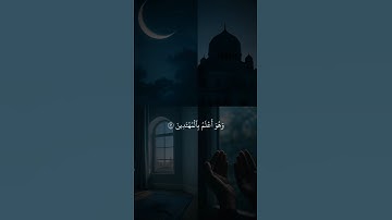 القارئ ياسر الدوسري  || ياسر الدوسري  #راحة_نفسية 😴