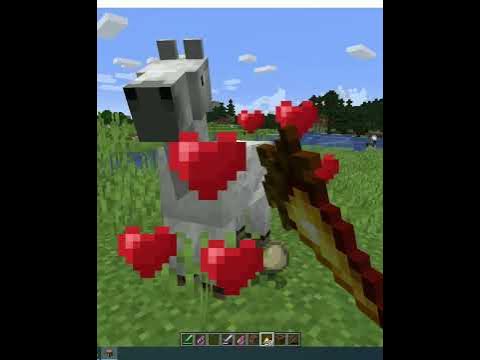 5 фактов о золотой моркови - YouTube