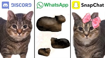 OIIAOIIA CAT but Famous Social Media Ringtones