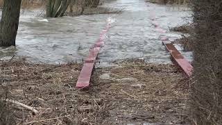 Hoog Water Door Krachtige Westenwind Ruigeplaatbos Hoogvliet Rotterdam