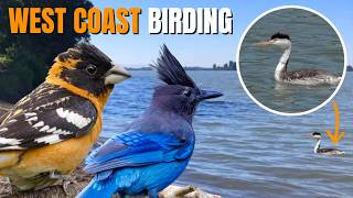 Birding Oregon’s Inland Lakes and Forests! (Also, We Stayed in a Yurt)