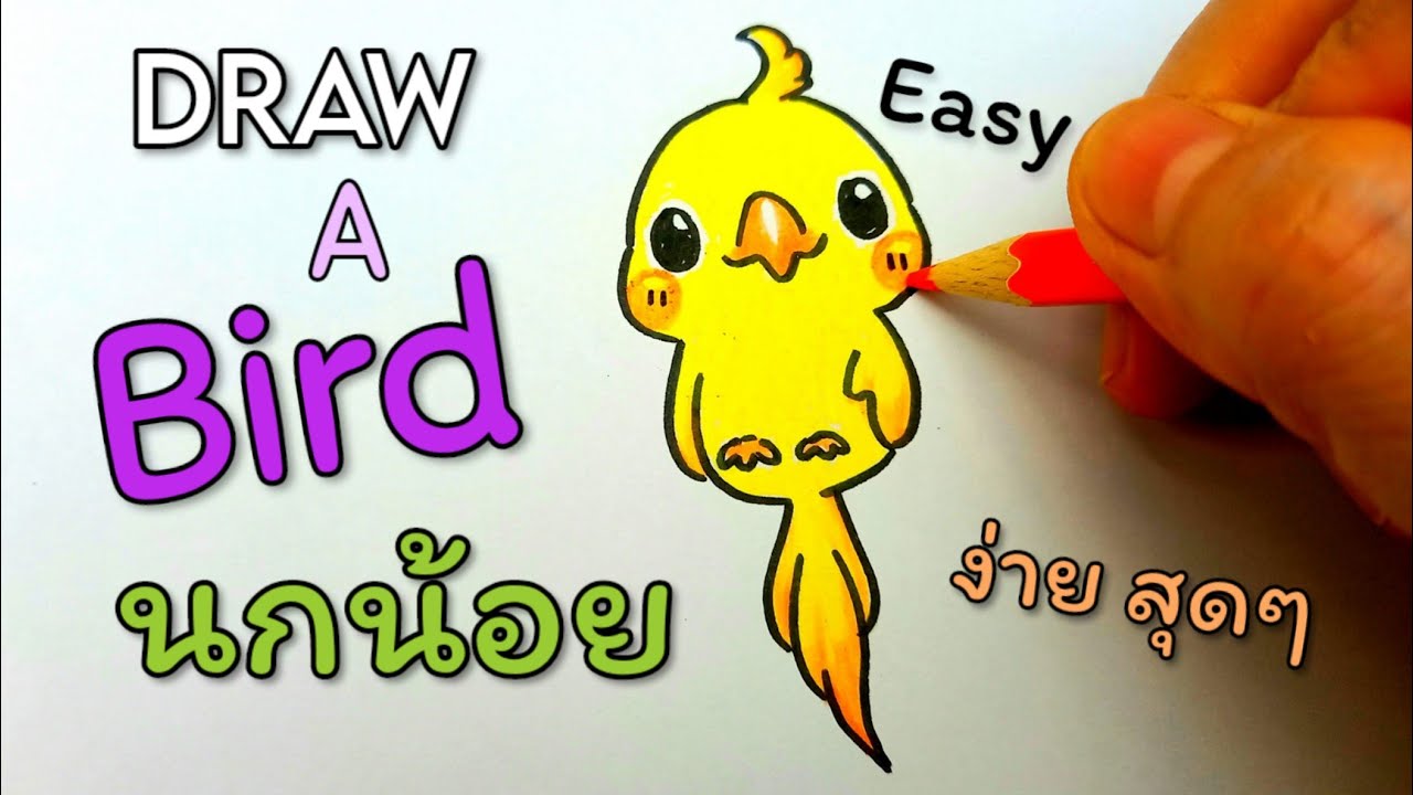 สอนวาดรูป นก อย่างง่าย ใน 3นาที☆How to draw a BIRD. (Easy) - YouTube