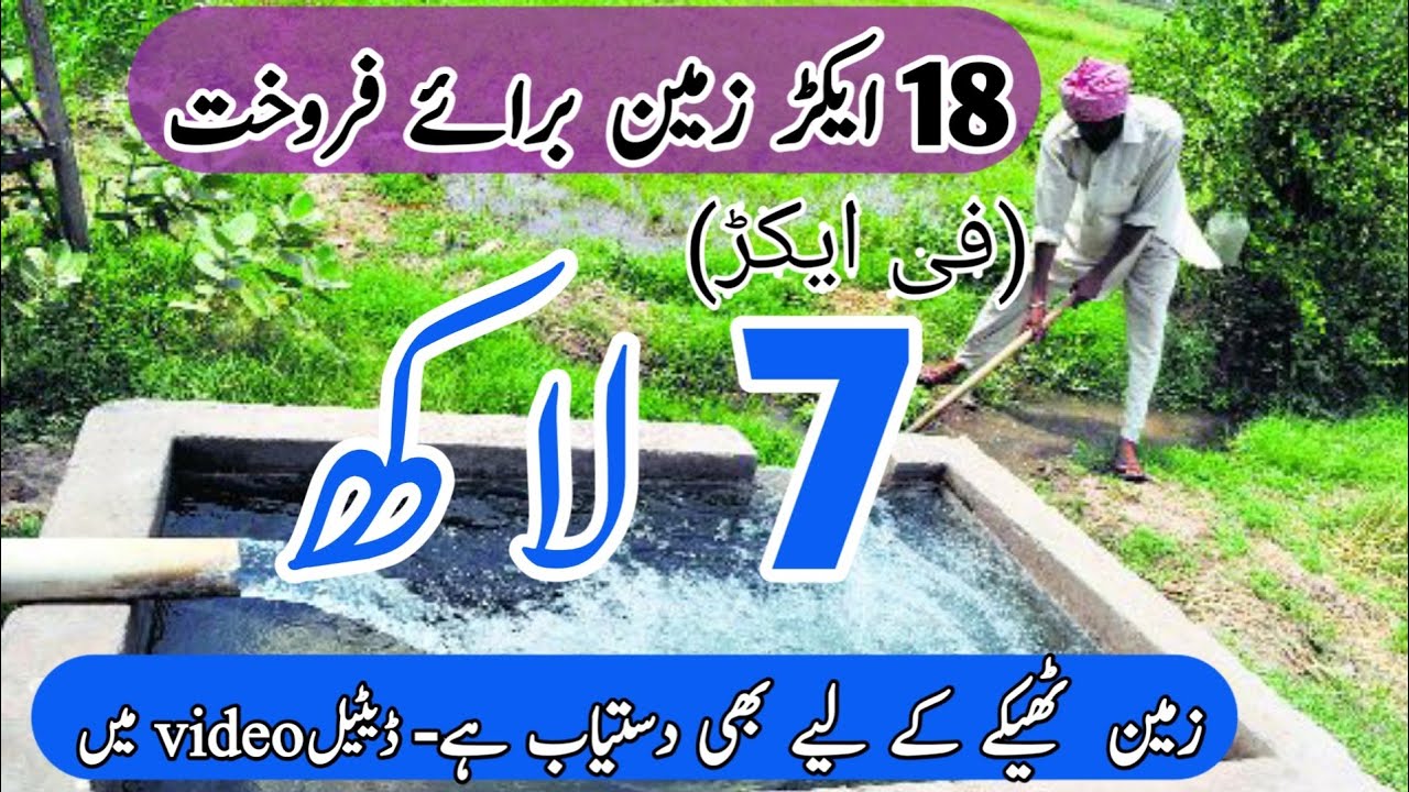 Agriculture land for sale punjab in pakistan15 YouTube