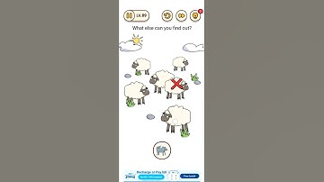 Brain find level 89 what else can you find out (और क्या पता कर सकते हैं) where is wolf 🐺 find him