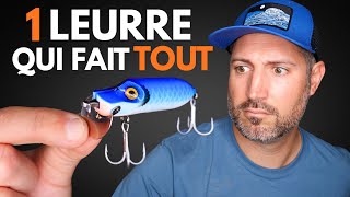 Leurre Coulant Abu Garcia Beast Hi-Lo Sinking 100mm - Fiche Produit Top Fishing