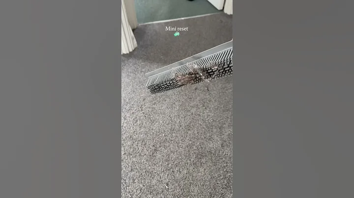 Mini reset 🧼 #cleantok #cleaning #cleaningmotivation #reset #home #satisfying #clean #viral #fyp