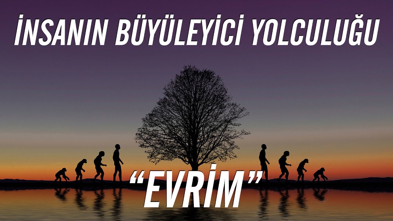 İNSANIN BÜYÜLEYİCİ YOLCULUĞU: EVRİM