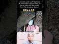Quran recitation short | 30 Seconds with Quran