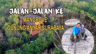 Jalanjalan ke Mangrove Gunung Anyar Surabaya