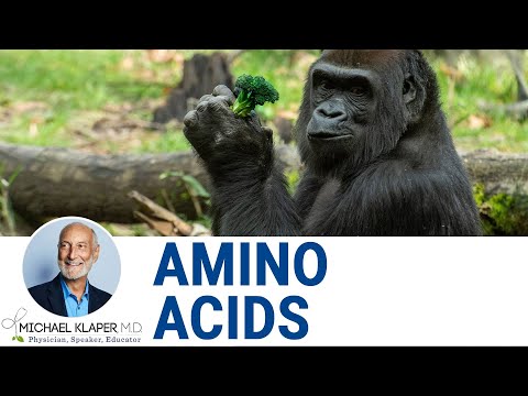 Do Almonds Contain All Essential Amino Acids