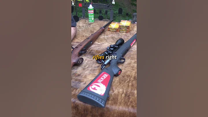 Do You Really Need An Expensive Hunting Rifle?