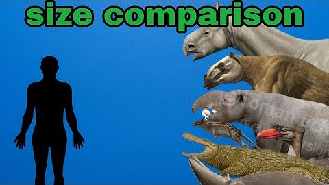 cenozoic beasts size comparison