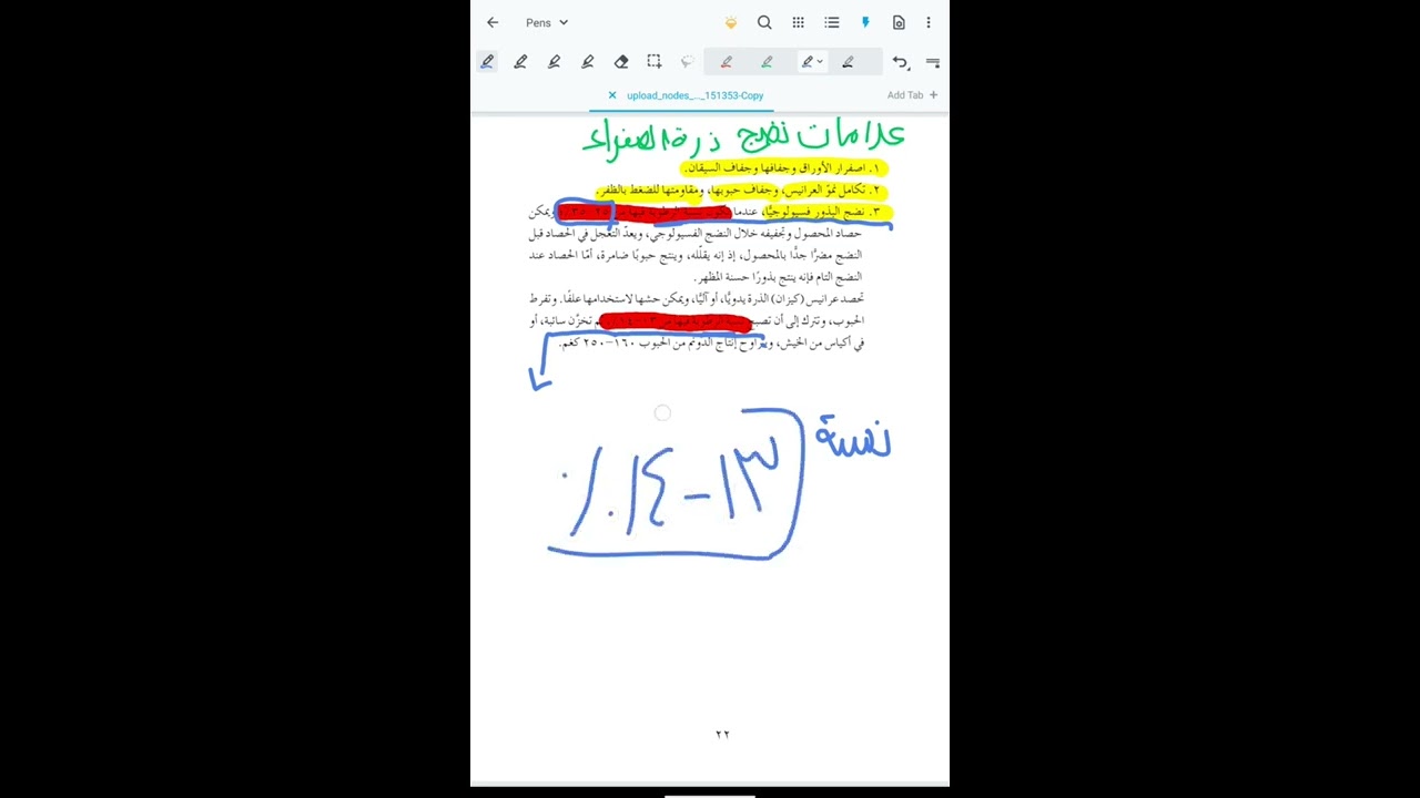 الفصيلة النجيلية 