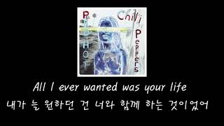   Red Hot Chili Peppers  Dosed