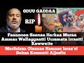 Wallaggaatti Harka Muraa Fi Israa El Dohaa Keessatti Ajjeefte