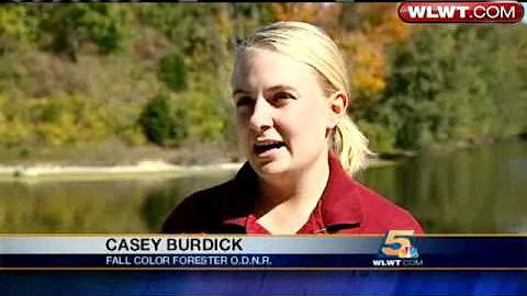 Despite Drought, Trees Will Show Off Fall Foliage