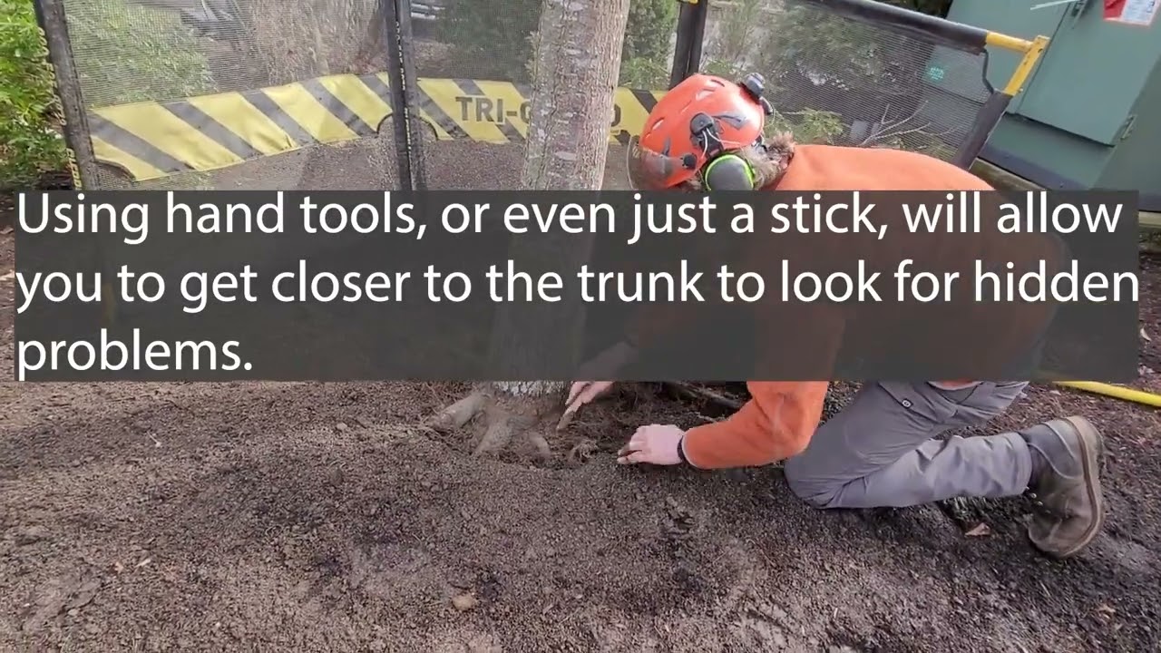 Soil excavation techniques using both and pneumatic air tool and hand tools