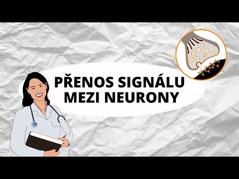 Video: Rozdíl Mezi Preganglionovými A Postganglionickými Neurony