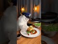 A Persian Cat is Cooking Nicoise Salad