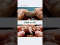 Real or AI viral ASMR satisfying chocolate slicing cutting video generator #viral #asmr #ai#aishorts