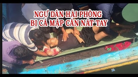 Ngư dân Hải Phòng bị cá mập cắn nát tay