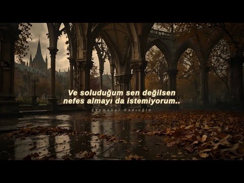 Shadow Beloved You And Only You Türkçe Çeviri 