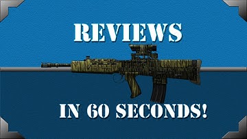 Reviews in 60 Seconds: L85A1 MOD Camo