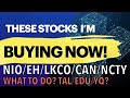 Stocks I am buying now. What to do with TAL/EDU/YQ? Cut loss? Buy PUT? Buy dip?