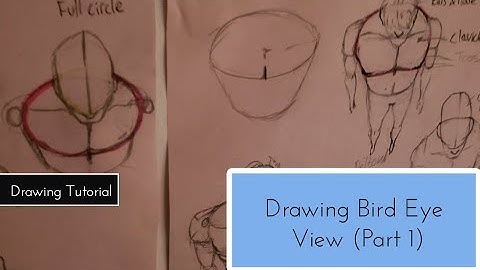 How To Draw Characters In Perspective Bird