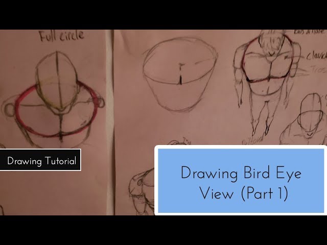 Birds Eye View Drawing Reference