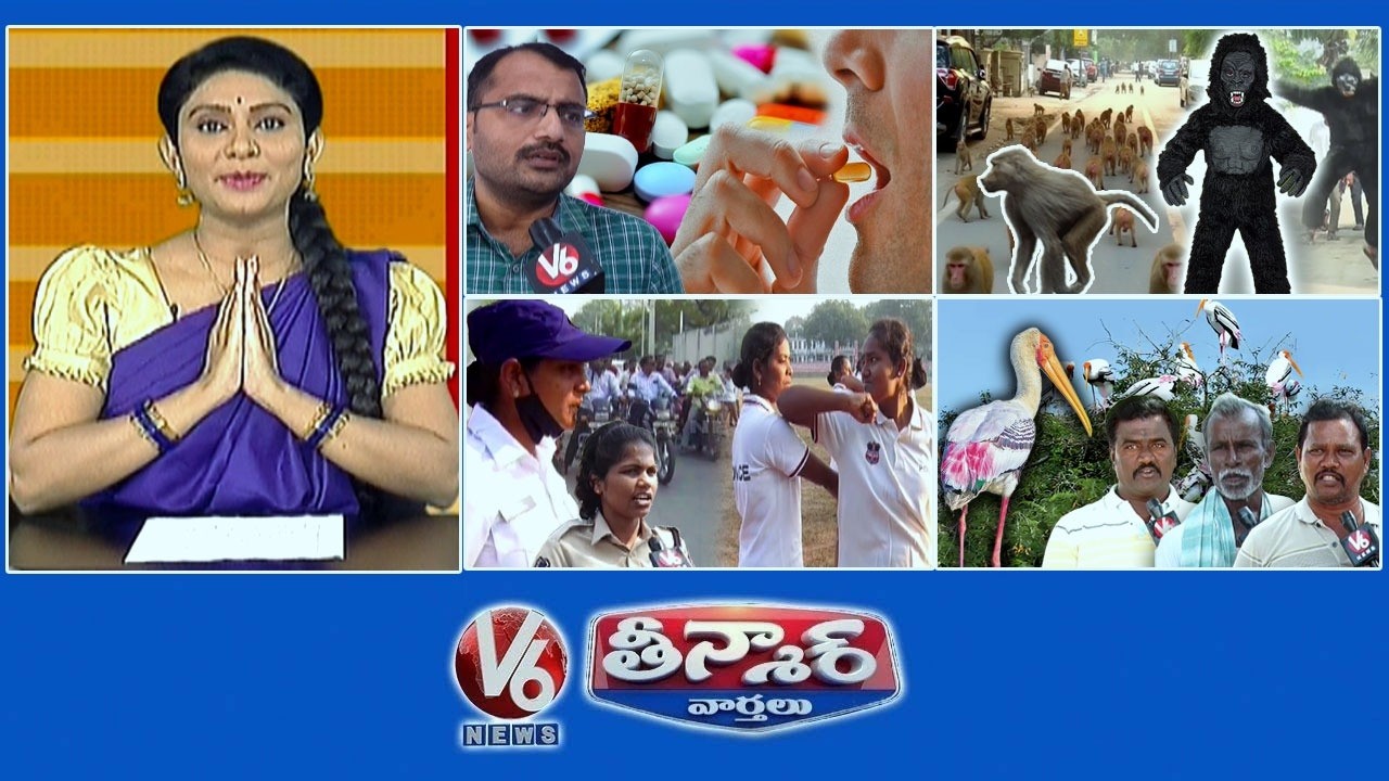 Heavy Antibiotic Consumption |Sarpanch Idea-Monkeys |Women Constables-Field Operations| V6Teenmaar