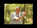 Cómo cultivar estropajo- TvAgro por Juan Gonzalo Angel