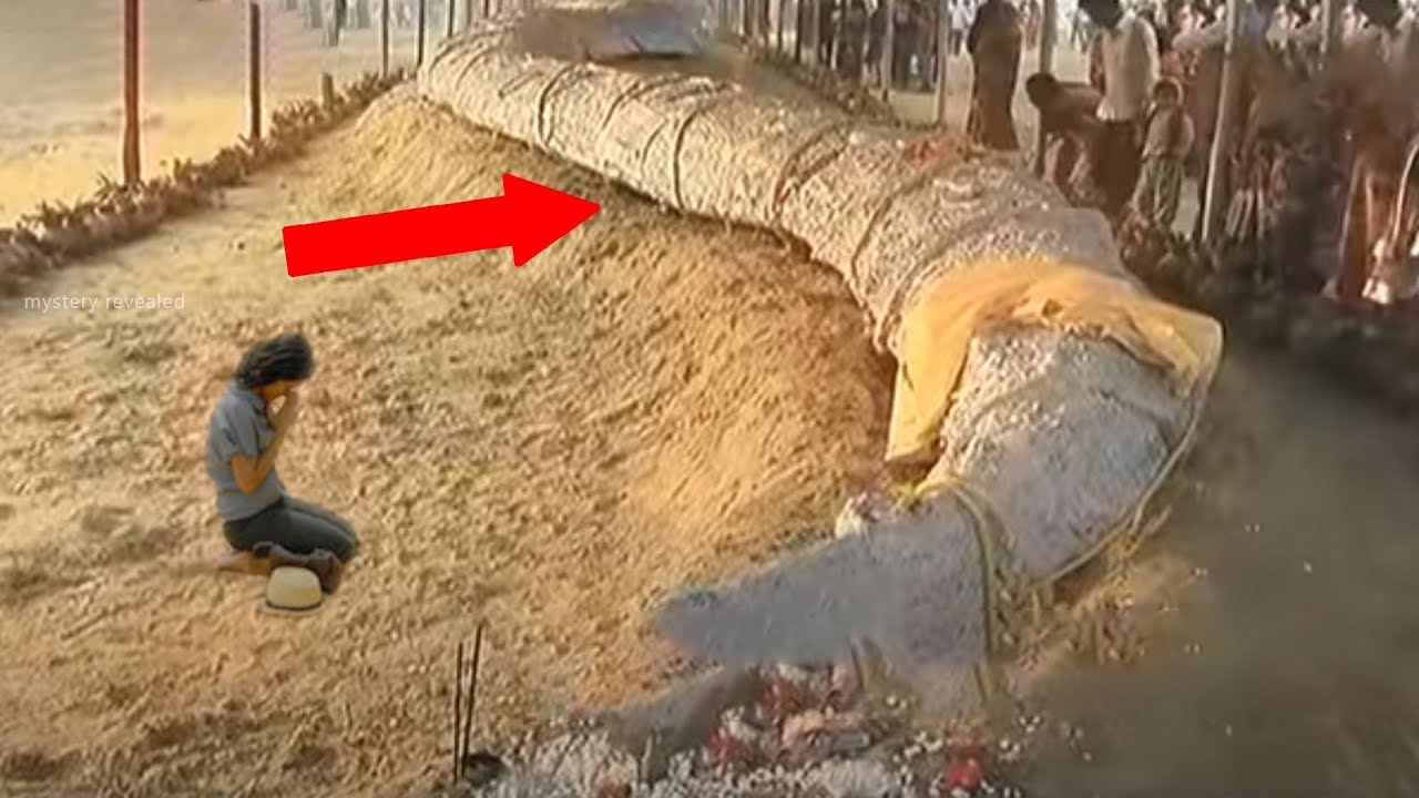 यहाँ रखा है प्रभु श्रीराम का धनुष | रामायण को काल्पनिक माननेवाले ही देखे |