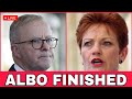 Albanese in DENIAL as Pauline Hanson's 'Fire the Liar' Campaign Hits $2.2 MILLION in 36 Hours