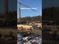 Дом из апрельской сосны ! Дом#строительство#карельскаясосна#баня#бревно#кело