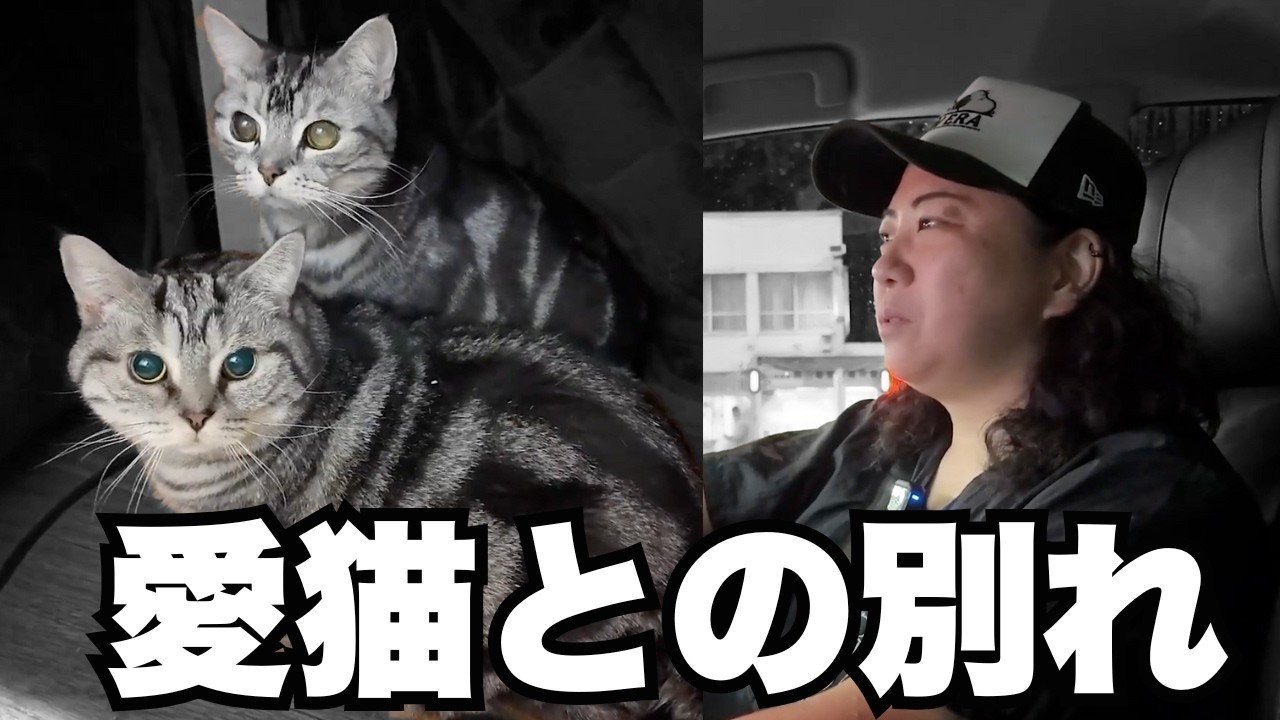 Sorry] After losing his mother, he had to give up his beloved