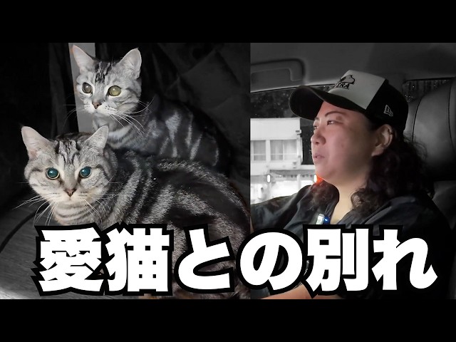 Sorry] After losing his mother, he had to give up his beloved