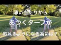 薄いあたりから、ちゃんとターフが取れるようになるスイングとは⁉️