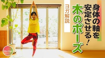 木のポーズ Youtube