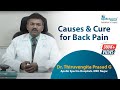 What causes Lower Back pain in young adults