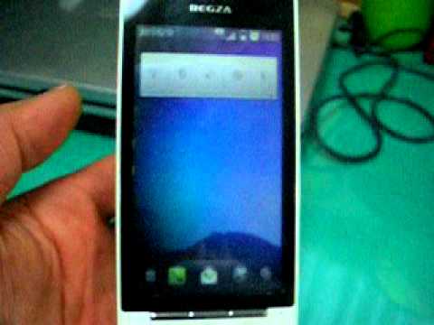 REGZA　Phoneバグ.AVI