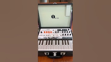 MicroFreak Vinyl player Speaker case mod with passive mixer