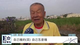 市民農園　自己吃的菜自己種
