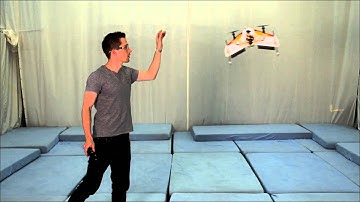 Robust Hover Control of a Tailsitter Flying Machine