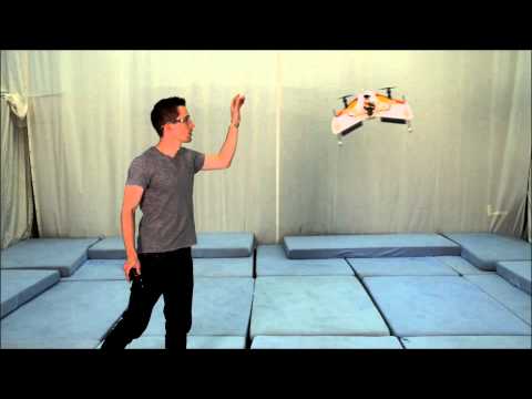 Robust Hover Control of a Tailsitter Flying Machine