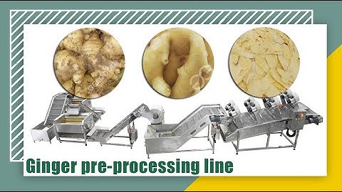 Fresh Ginger Processing Line / Ginger Washing Peeling Machine / Ginger slicer
